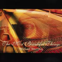 The Most Beautiful Things by Michael Murphy