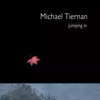 Jumping In by Michael Tiernan