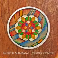 [Morphogenesis by Musical Mandalas]