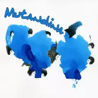 Mutandina by Mutandina