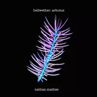 [Bellwether, Arbutus by Nathan Mathes]