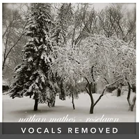[Roselawn (vocals removed) by Nathan Mathes]