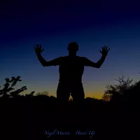 Hands Up by Nigel Martin