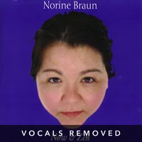 Now and Zen (vocals removed) by Norine Braun