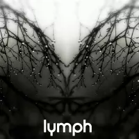 Lymph by Nuform