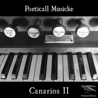 Canarios II by Poeticall Musicke