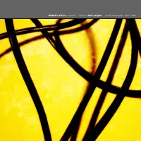 Due Acque - Live Archive Vol 2 by Robert Rich
