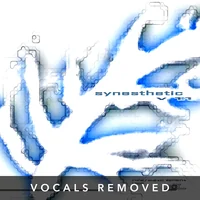 [Synesthetic (vocals removed) by SGX]