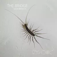 The Bridge by Sasha Merkulov