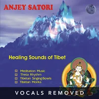 [Healing Sounds of Tibet (vocals removed) by Satori]