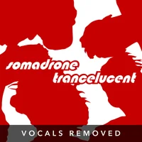 [Trancelucent (vocals removed) by Somadrone]