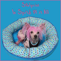[In Spite of it All by SoulPrint]