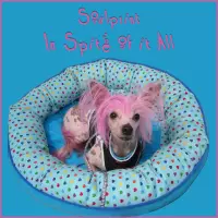 In Spite of it All by SoulPrint