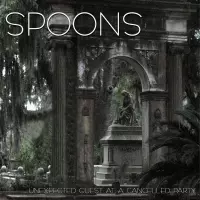 Unexpected Guest at a Cancelled Party by Spoons
