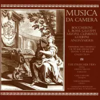 Musica da Camera by Streicher Trio