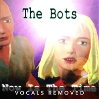 Now is The Time (vocals removed) by The Bots