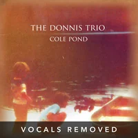 [Cole Pond (vocals removed) by The Donnis Trio]