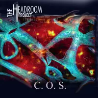 COS by The Headroom Project