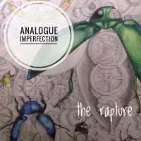 Analogue Imperfections by The Rapture