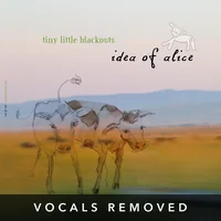 [Idea of Alice (vocals removed) by Tiny Little Blackouts]