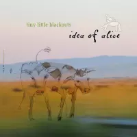 [Idea of Alice by Tiny Little Blackouts]