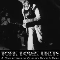 [A Collection of Quality Rock and Roll by Torn Down Units]