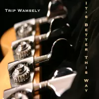 [Its Better This Way by Trip Wamsley]