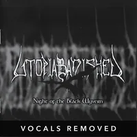 [Night of the Black Wyvern (vocals removed) by Utopia Banished]