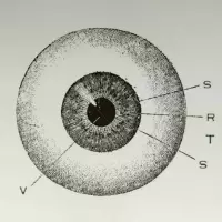 VSTRS by VSTRS