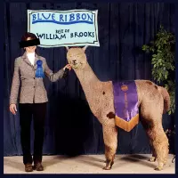 [Blue Ribbon - The Best of William Brooks by William Brooks]