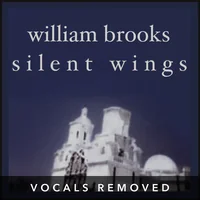[Silent Wings (vocals removed) by William Brooks]