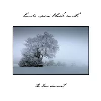 [The True Harvest by hands upon black earth]